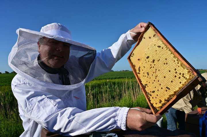 Klaus bei den Bienen